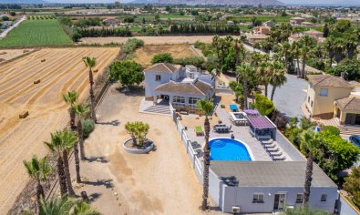 Resale - Finca -
Catral