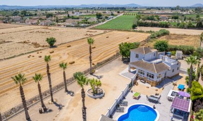 Resale - Finca -
Catral