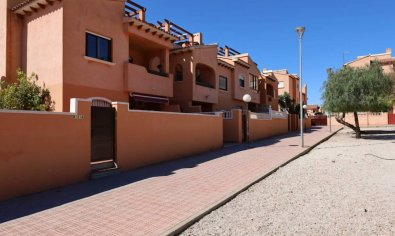 Reventa - Apartamento / piso -
Torrevieja - Aguas Nuevas