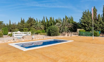 Resale - Finca -
Los Montesinos