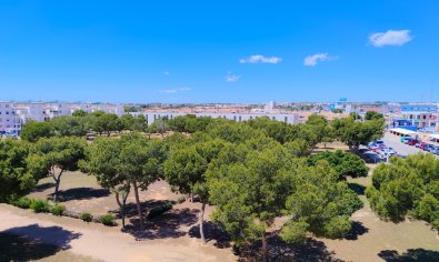Reventa - Apartamento / piso -
Orihuela Costa - La Zenia