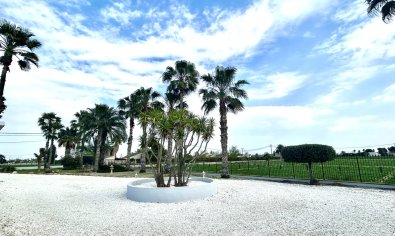 Resale - Villa -
Catral