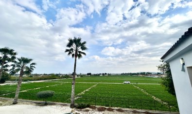 Resale - Villa -
Catral