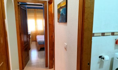 Resale - Apartment -
Torrevieja - Los Altos