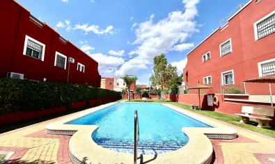 Resale - Apartment -
Torrevieja - Los Altos