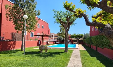 Resale - Apartment -
Torrevieja - Los Altos