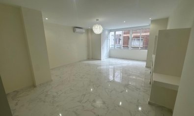 Bestaande bouw - Apartamento -
Torrevieja - Muelle Pesquero