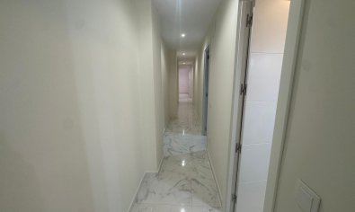 Bestaande bouw - Apartamento -
Torrevieja - Muelle Pesquero