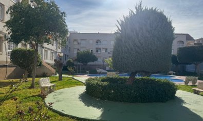 Bestaande bouw - Apartamento -
Torrevieja - Playa del Acequión