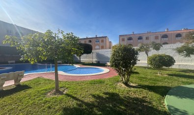 Bestaande bouw - Apartamento -
Torrevieja - Playa del Acequión