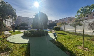 Bestaande bouw - Apartamento -
Torrevieja - Playa del Acequión