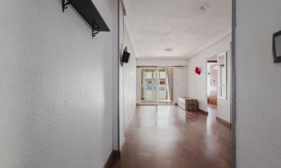 Bestaande bouw - Apartamento -
Torrevieja - Playa del Acequión