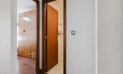 Bestaande bouw - Apartamento -
Torrevieja - Playa del Acequión