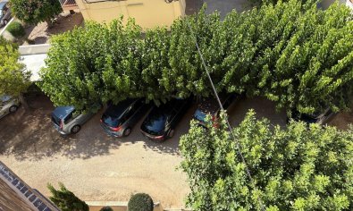 Bestaande bouw - Apartamento -
Torrevieja - La Mata