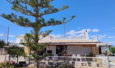 Reventa - Finca -
Los Montesinos