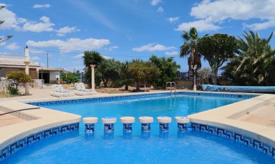 Reventa - Finca -
Los Montesinos