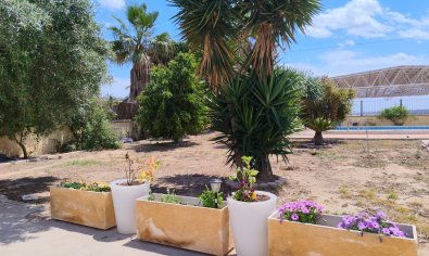 Reventa - Finca -
Los Montesinos