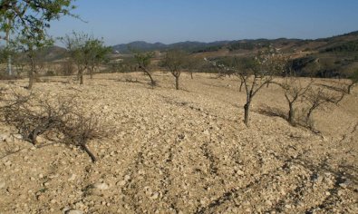 Bestaande bouw - Perceel -
Murcia