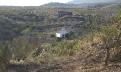 Bestaande bouw - Perceel -
Murcia