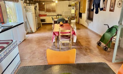 Reventa - Finca -
Guardamar del Segura