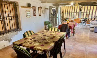 Reventa - Finca -
Guardamar del Segura