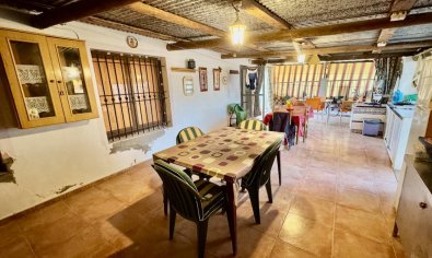 Reventa - Finca -
Guardamar del Segura