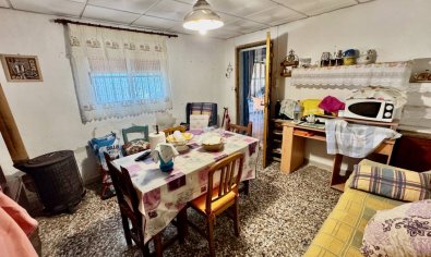 Reventa - Finca -
Guardamar del Segura