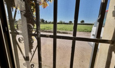 Reventa - Finca -
Guardamar del Segura