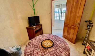 Reventa - Finca -
Guardamar del Segura