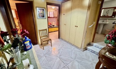 Reventa - Finca -
Guardamar del Segura
