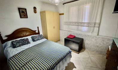 Reventa - Finca -
Guardamar del Segura