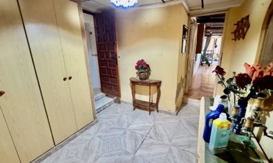 Reventa - Finca -
Guardamar del Segura