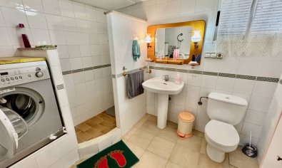 Reventa - Finca -
Guardamar del Segura
