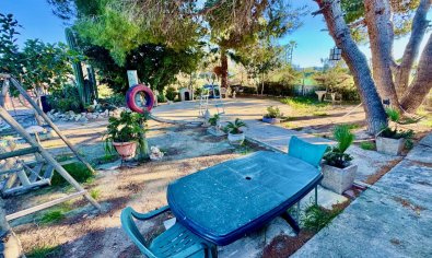 Reventa - Finca -
Guardamar del Segura