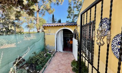 Reventa - Finca -
Guardamar del Segura