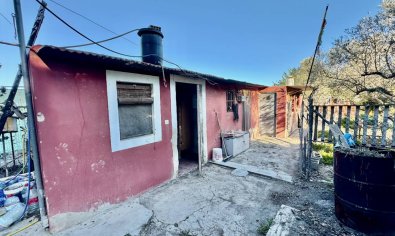 Reventa - Finca -
Guardamar del Segura