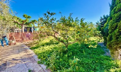 Reventa - Finca -
Guardamar del Segura