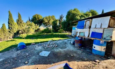 Reventa - Finca -
Guardamar del Segura