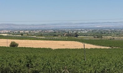 Bestaande bouw - Villa -
Algorfa - Lomas de La Juliana
