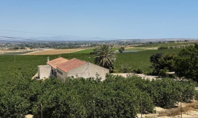 Bestaande bouw - Villa -
Algorfa - Lomas de La Juliana