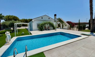 Reventa - Finca -
Torrellano