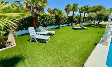 Reventa - Finca -
Torrellano