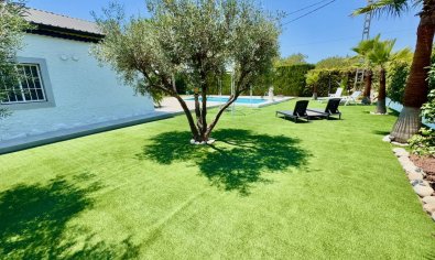 Reventa - Finca -
Torrellano