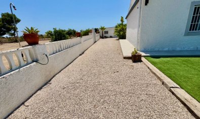 Reventa - Finca -
Torrellano