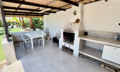 Reventa - Finca -
Torrellano