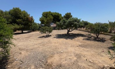 Reventa - Finca -
Torrellano