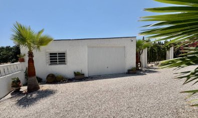 Reventa - Finca -
Torrellano