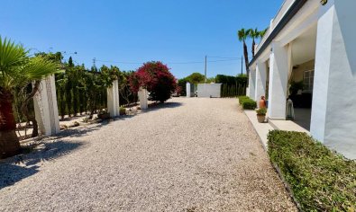 Reventa - Finca -
Torrellano