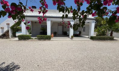 Reventa - Finca -
Torrellano