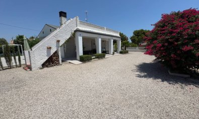 Reventa - Finca -
Torrellano